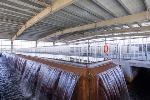 怎么保养多功效微型过滤机？？？？？